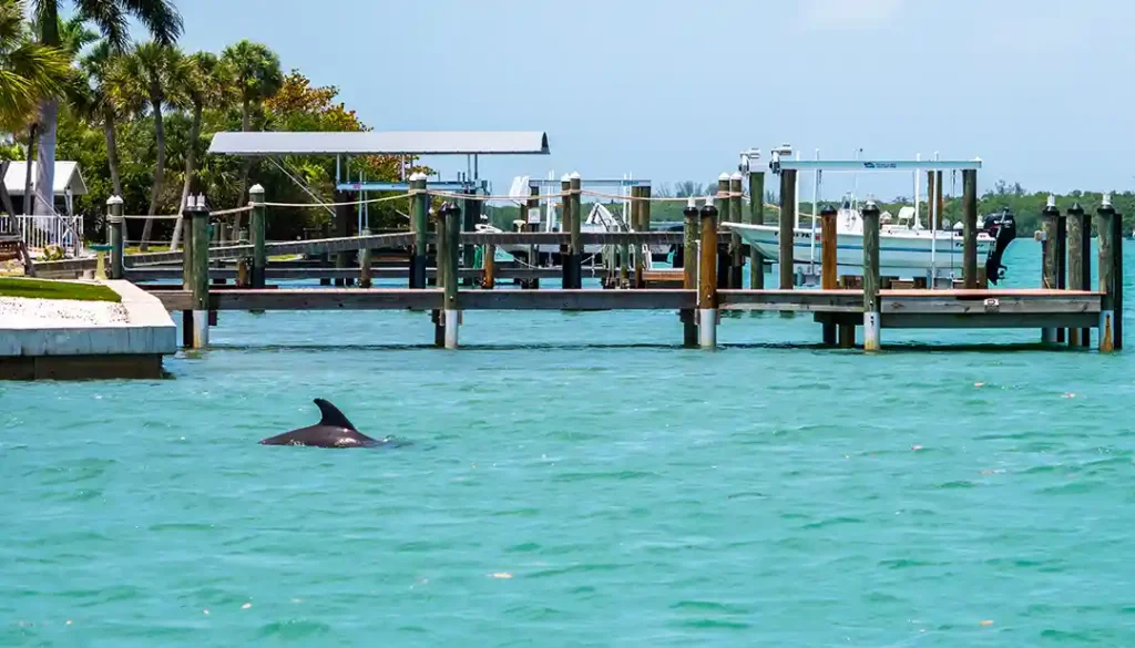 Waterfront view with stunning blue water and dolphins in Manasota Key, FL