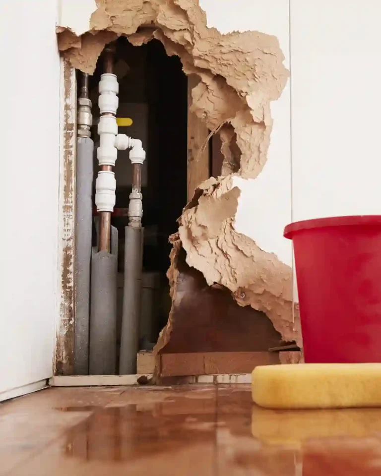 Emergency plumbing repair at a residential home